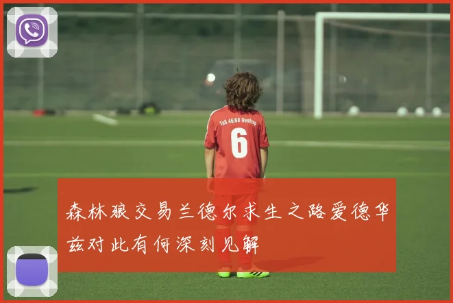 森林狼交易兰德尔求生之路爱德华兹对此有何深刻见解